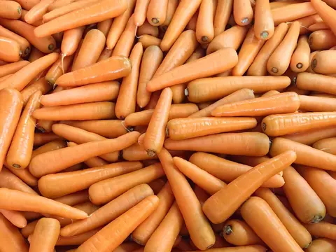 A pile of washed fresh carrots