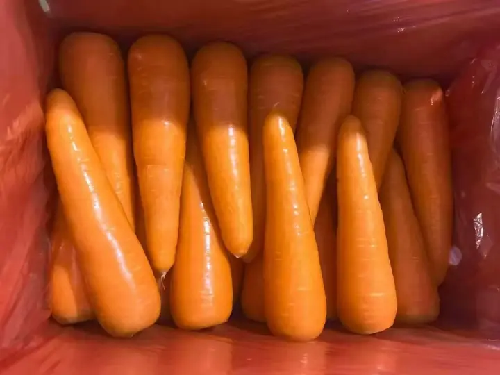 Fresh carrots packed in a carton with a red plastic liner