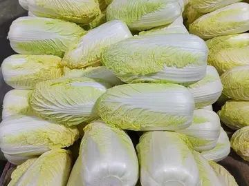 A pile of trimmed napa cabbage heads