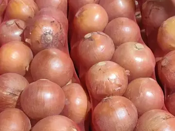 Red mesh bags filled with onions