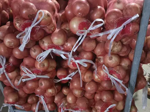 Onions in red mesh bags stacked in a metal pallet cage