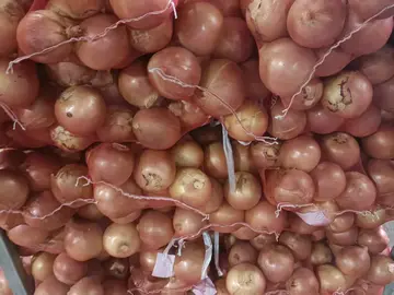 Close view of onions in red mesh bags